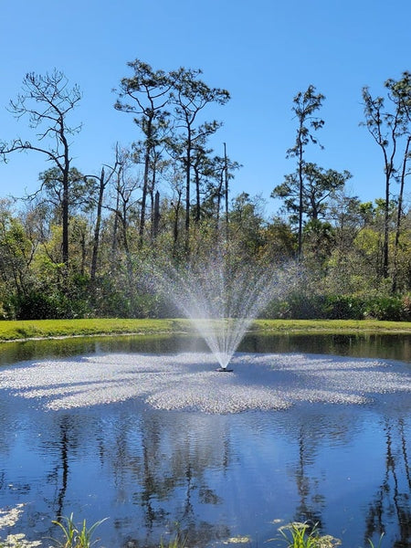 <p><strong>Fountain</strong></p>