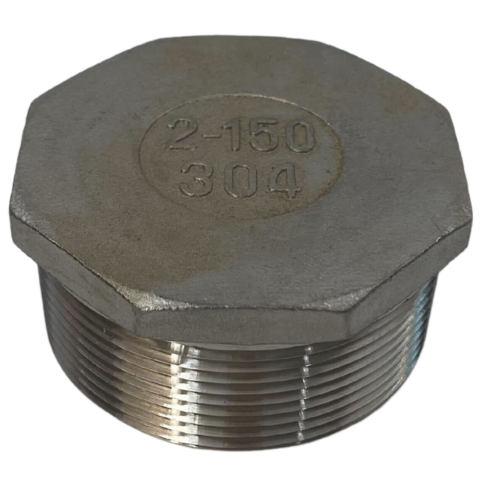 Stainless Steel Hex Plug