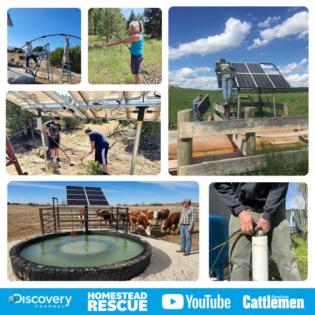 RPS 800 Solar Well Pump Kit
