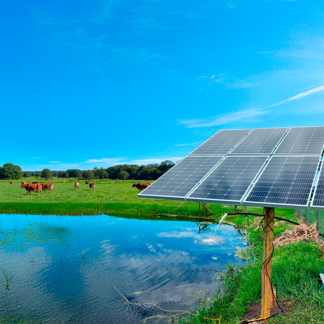 Ultimate Pond Maker Bundle (Well Pump + Fountain or Aerator + Mounting for Each)