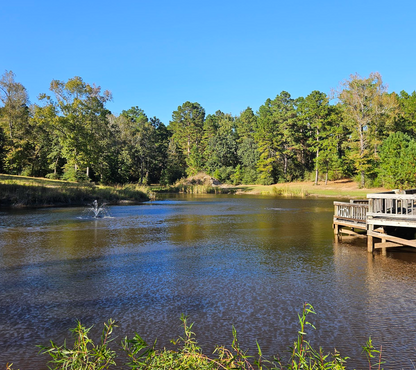 RPS F200/400 Solar Fountain Pump