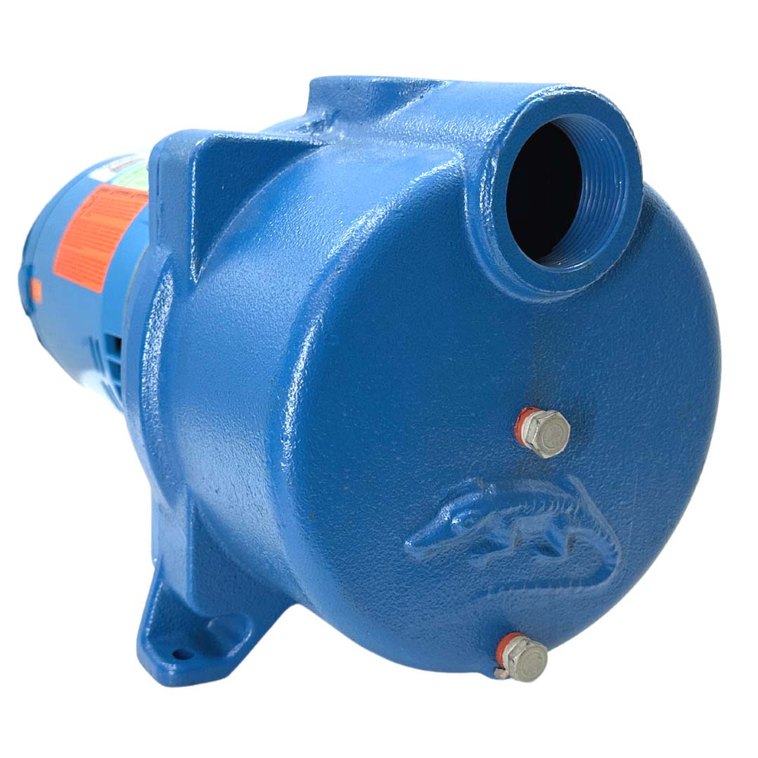 RPS Pro Irrigation Surface Pump