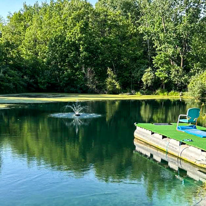 RPS F200/400 Solar Fountain Pump