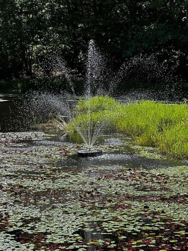 text-block-image-template--19543777804443__ss_text_block_pro_9eRDwt