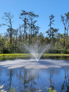 Image of a fountain working in a pond