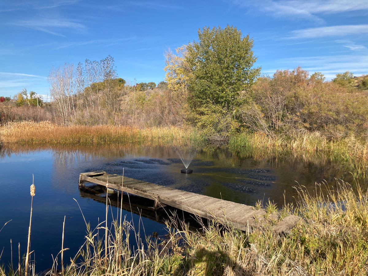 Pond Float Assembly – RPS Solar Pumps